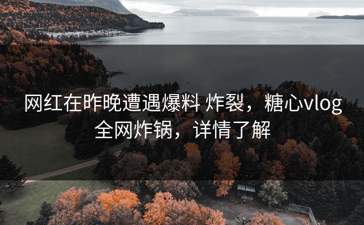 网红在昨晚遭遇爆料 炸裂，糖心vlog全网炸锅，详情了解