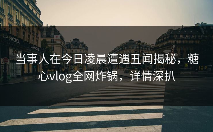 当事人在今日凌晨遭遇丑闻揭秘，糖心vlog全网炸锅，详情深扒