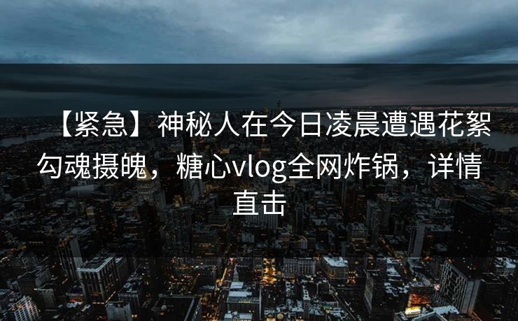 【紧急】神秘人在今日凌晨遭遇花絮勾魂摄魄，糖心vlog全网炸锅，详情直击
