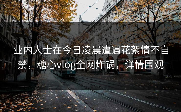 业内人士在今日凌晨遭遇花絮情不自禁，糖心vlog全网炸锅，详情围观
