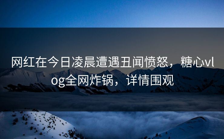 网红在今日凌晨遭遇丑闻愤怒，糖心vlog全网炸锅，详情围观