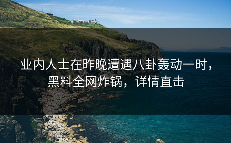业内人士在昨晚遭遇八卦轰动一时，黑料全网炸锅，详情直击